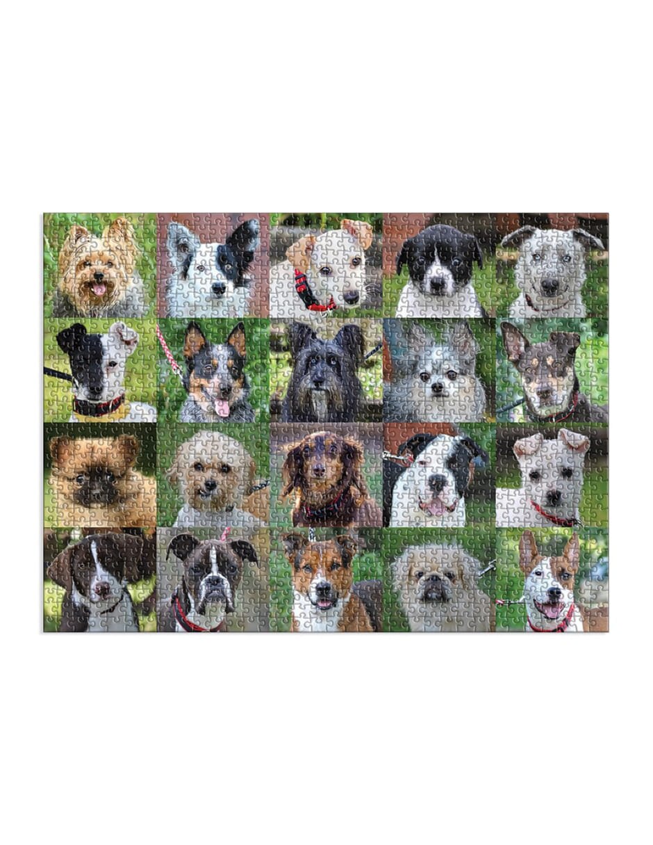 Rompecabezas Perritos 1000 piezas 5