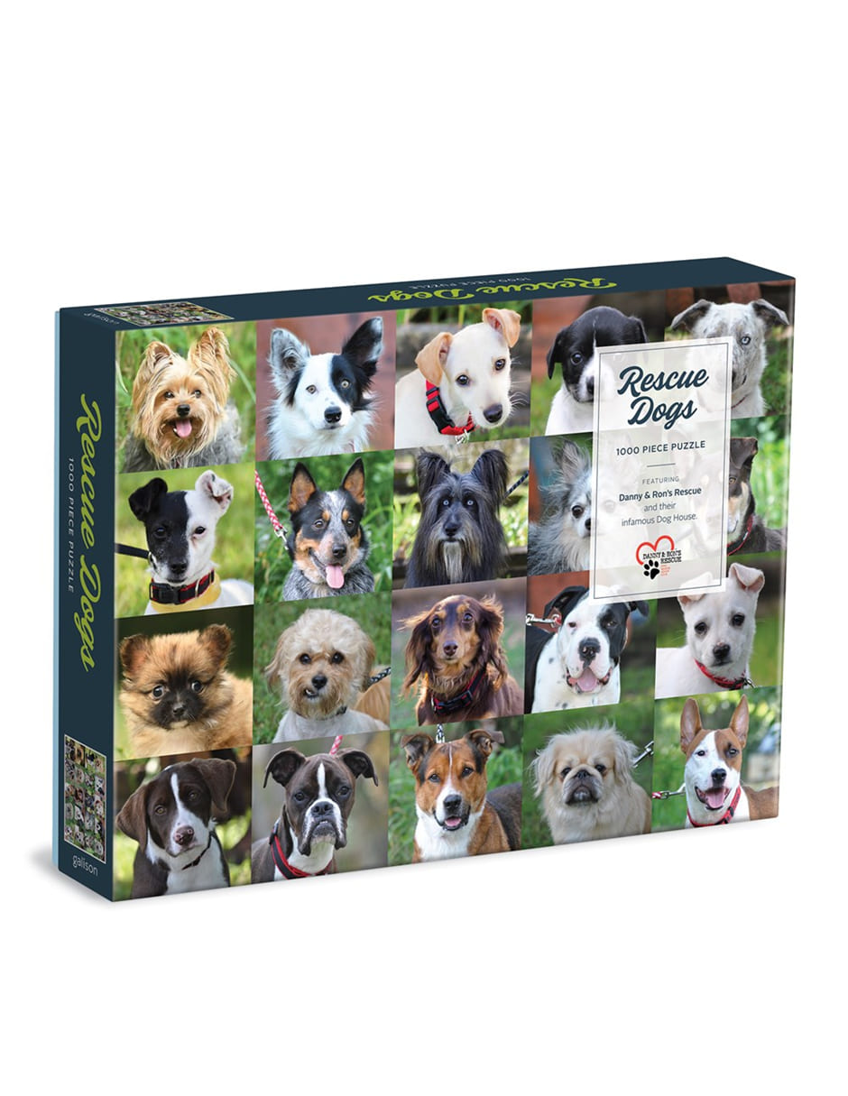 Rompecabezas Perritos 1000 piezas
