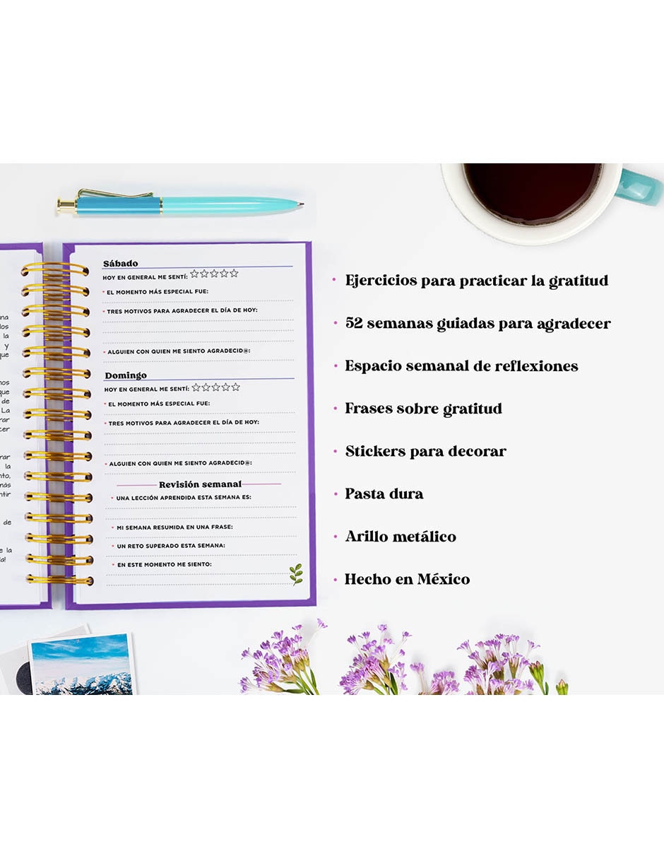 Diario de No aplica FLORES 8